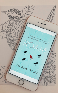 ROAM CH ARMSTRONG REVIEW